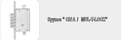 gloss disguise Norm Spynos | Alytaus Spynos